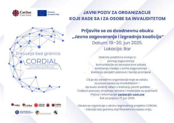 JAVNI POZIV ZA ORGANIZACIJE KOJE RADE SA I ZA OSOBE SA INVALIDITETOM