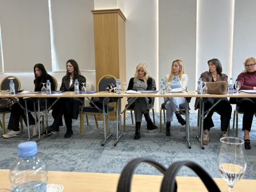 Održana panel diskusija na temu „Uvažavanje prava osoba sa invaliditetom u oblasti socijalne i dječije zaštite“